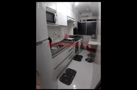 Apartamento com 3 Quartos à venda, 50m² no Vila Amália (Zona Norte), São Paulo
