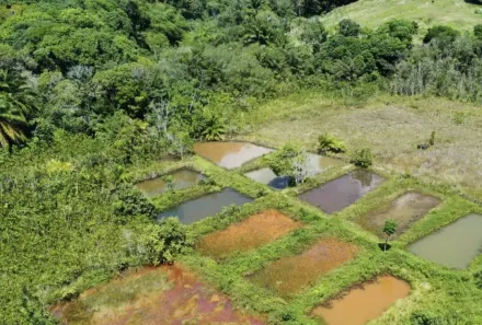 Lote/Terreno para alugar, 1040m² no , Conde
