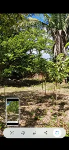 Fazenda/Sítio à venda, 14280m² no Cohajap, São Luís