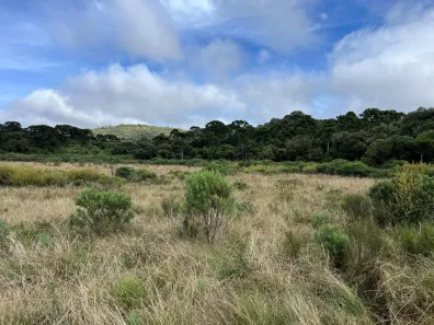 Lote/Terreno à venda, 20000m² no , Urubici