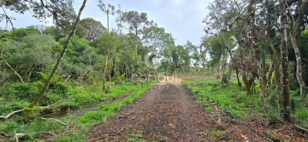 Lote/Terreno com 1 Quarto à venda, 8554m² no Rural, Tijucas do Sul