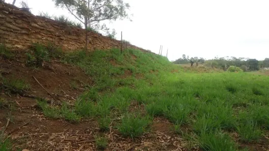 Lote/Terreno à venda, 486m² no São Pedro, Juiz de Fora