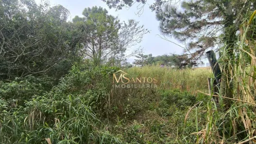 Lote/Terreno à venda, 2000m² no São João do Rio Vermelho, Florianópolis