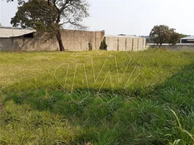 Lote/Terreno à venda, 360m² no Jardim Regina, Araraquara