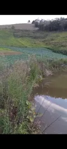 Fazenda/Sítio à venda, 50000m² no , Domingos Martins