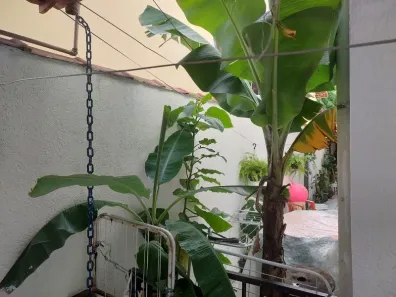 Sobrado com 3 Quartos à venda, 90m² no Vila Campo Grande, São Paulo