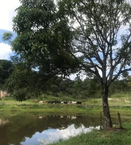Lote/Terreno à venda, 250000m² no Bandeirinhas, Betim