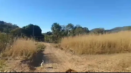 Fazenda/Sítio à venda, 165000m² no , Nova Iguaçu de Goiás