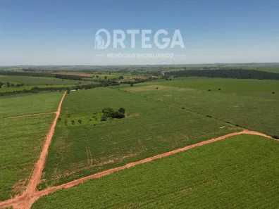 Fazenda/Sítio à venda, 242000m² no Centro, Santa Fé