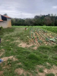 Lote/Terreno à venda, 2586m² no Douradinho, Piedade