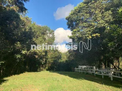 Fazenda/Sítio com 3 Quartos à venda, 25000m² no Amaral, Nova Serrana