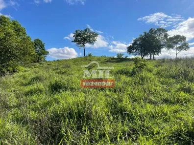 Fazenda/Sítio à venda, 500m² no , Morro Agudo de Goiás
