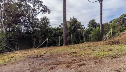 Lote/Terreno à venda, 5000m² no Quatro Barras, Quatro Barras