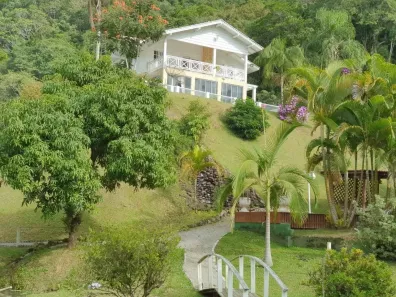 Fazenda/Sítio com 4 Quartos à venda, 70000m² no , Santo Amaro da Imperatriz
