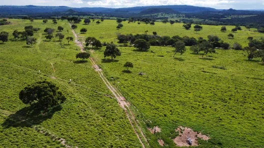 Fazenda/Sítio à venda, 14640000m² no Centro, Alto Araguaia