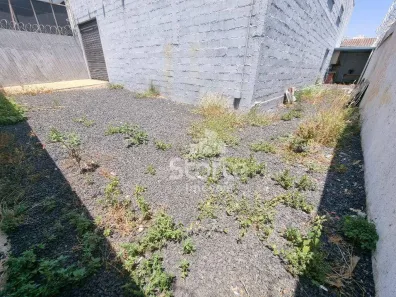 Galpão/Depósito/Armazém para alugar, 218m² no Segismundo Pereira, Uberlândia