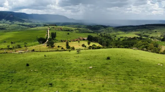 Fazenda/Sítio com 4 Quartos à venda, 1389080m² no Área Rural de Charqueada, Charqueada
