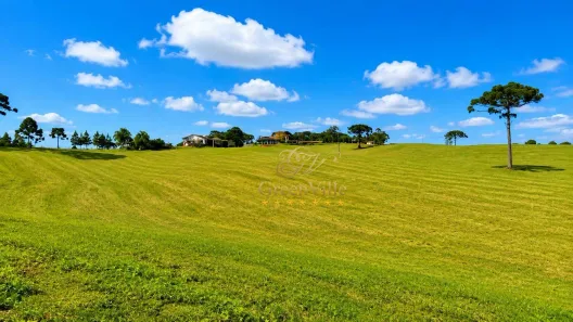 Fazenda/Sítio com 3 Quartos à venda, 1103147m² no Centro, Lapa