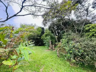 Lote/Terreno à venda, 869m² no Vargem Grande, Florianópolis