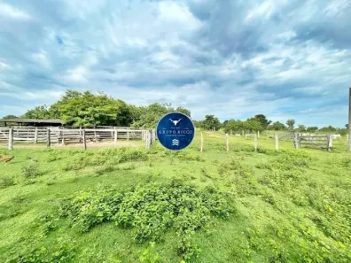 Fazenda/Sítio com 4 Quartos à venda, 41m² no Setor Central, Crixás