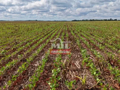 Fazenda/Sítio à venda, 1m² no , Acreúna