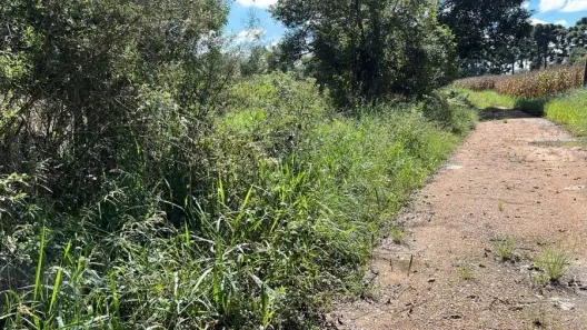 Lote/Terreno à venda, 69216m² no Cruzeiro, São José dos Pinhais
