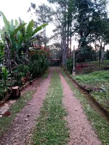 Fazenda/Sítio com 3 Quartos à venda, 8500m² no Sítio Pinheiros, Itapecerica da Serra