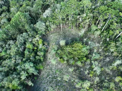 Lote/Terreno à venda, 1102m² no Atalaia, Campos do Jordão