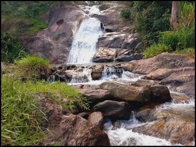 Fazenda/Sítio com 3 Quartos à venda, 968000m² no , Piquete