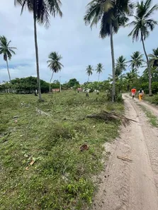 Lote/Terreno à venda, 105000m² no Mangue Seco, Jandaíra
