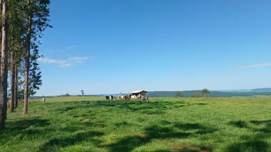 Fazenda/Sítio com 3 Quartos à venda, 290400m² no , Cristais Paulista
