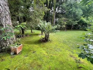 Lote/Terreno à venda, 260m² no Vila Luiza, Canela