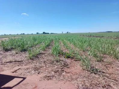 Fazenda/Sítio com 3 Quartos à venda, 133100m² no , Cajuru