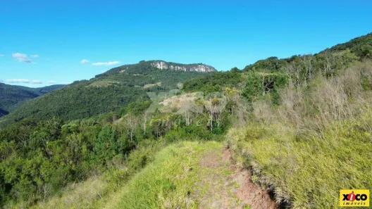 Fazenda/Sítio com 1 Quarto à venda, 5000m² no Linha Pirajá Baixa, Nova Petrópolis