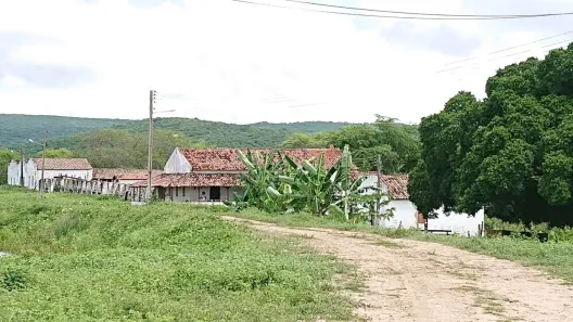 Fazenda/Sítio com 4 Quartos à venda, 10000000m² no , Riachuelo