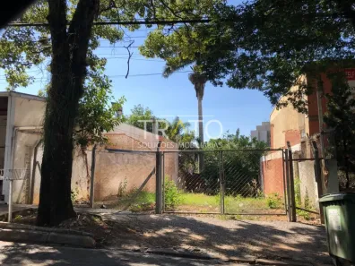 Lote/Terreno para alugar, 295m² no Cambuí, Campinas