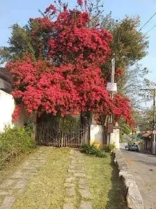 Casa com 3 Quartos à venda, 10m² no Centro, Santa Branca