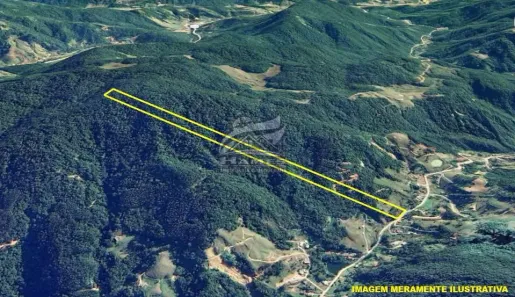 Lote/Terreno à venda, 85225m² no , Angelina