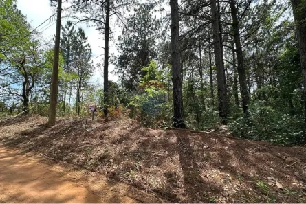 Lote/Terreno à venda, 5000m² no , Pardinho