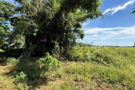 Fazenda/Sítio com 2 Quartos à venda, 157300m² no Chácaras Califórnia, Araçatuba