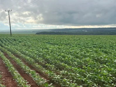 com 3 Quartos à venda, 580m² no , Nobres