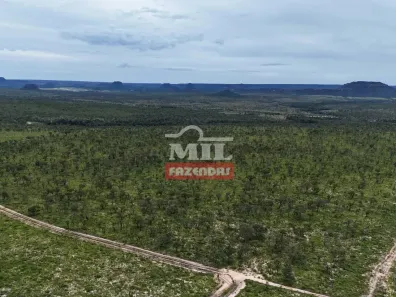 Fazenda/Sítio à venda, 500m² no , Dianópolis