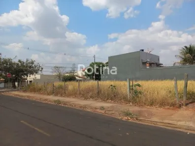 Lote/Terreno para alugar, 250m² no Jardim das Palmeiras, Uberlândia