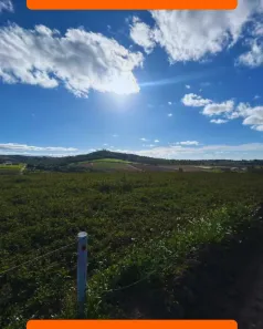 Lote/Terreno à venda, 500m² no Parque Caucaia (Caucaia do Alto), Cotia