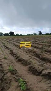 Lote/Terreno à venda, 20000m² no , Pitimbu