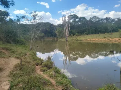 Fazenda/Sítio com 2 Quartos à venda, 2000m² no Setor Central, Brasília