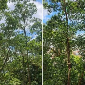 Apartamento com 2 Quartos à venda, 53m² no Tucuruvi, São Paulo