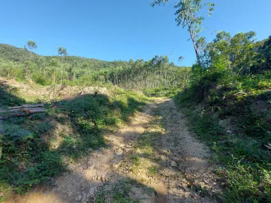 Fazenda/Sítio à venda, 12720m² no Cedro Grande, Brusque