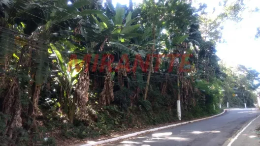 Lote/Terreno à venda, 503371m² no Tucuruvi, São Paulo