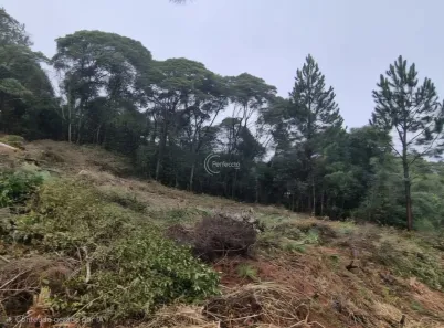 Lote/Terreno à venda, 325m² no Ana Rech, Caxias do Sul